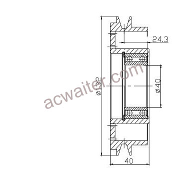 21-50556 Using Car: 510 Audi