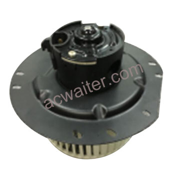 28-10548 Ford
